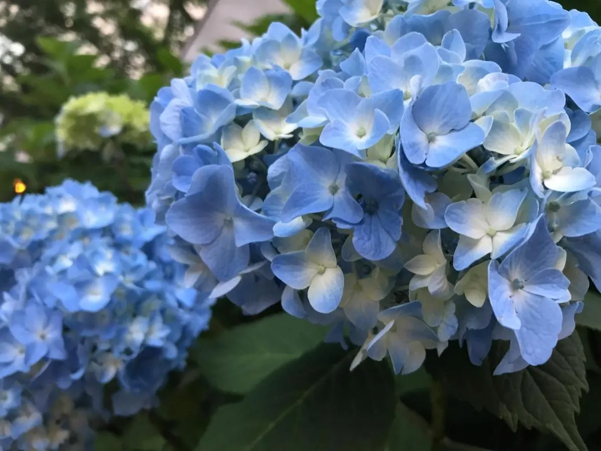 Hotel Tetora Spirit Sapporo - Vacation Stay 59365V