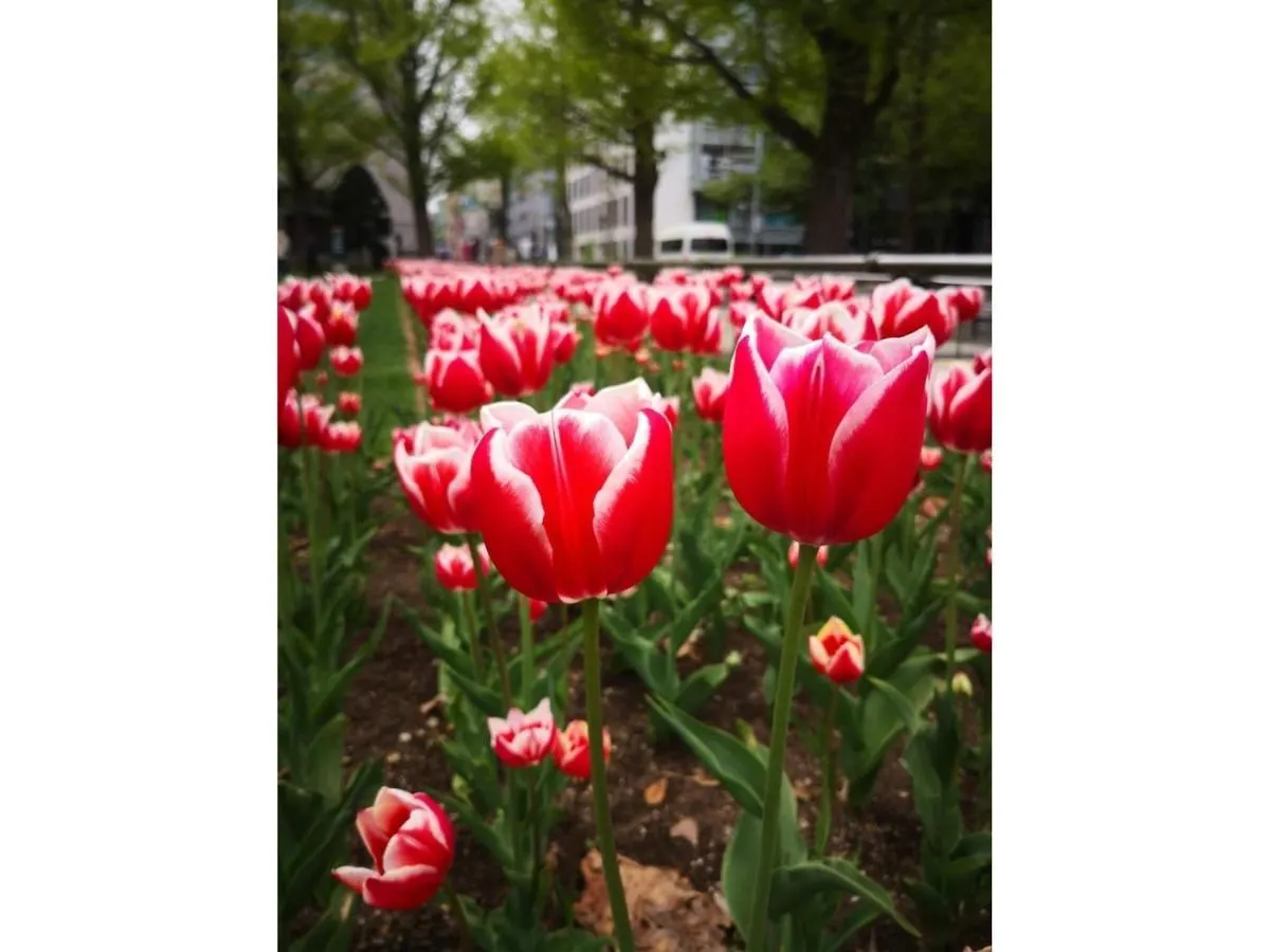 Hotel Tetora Spirit Sapporo - Vacation Stay 59365V